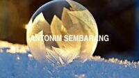 Antonim Sembarang