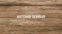 Antonim Sembur