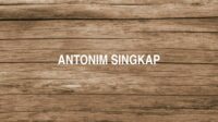 Antonim Singkap