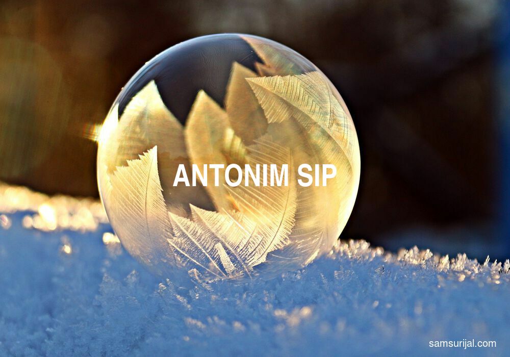 Antonim Sip