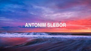 Antonim Slebor