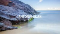Antonim Suak