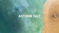 Antonim Taut