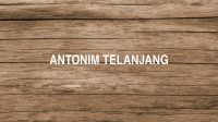 Antonim Telanjang
