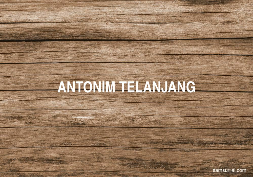 Antonim Telanjang