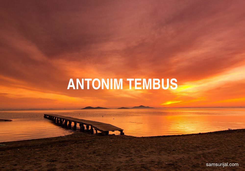 Antonim Tembus