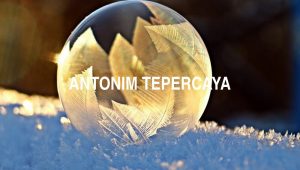 Antonim Tepercaya