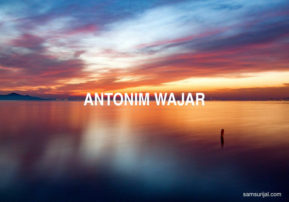 Antonim Wajar