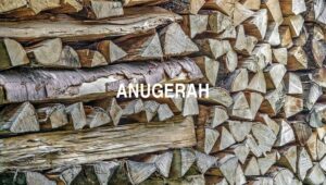 Anugerah