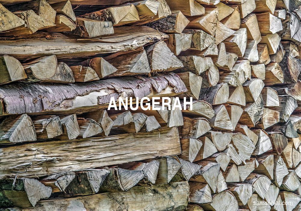 Arti Anugerah