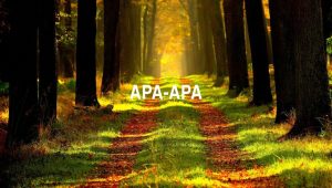 Arti Apa Apa