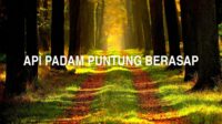 Api Padam Puntung Berasap