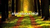 Arak-Arakan obor