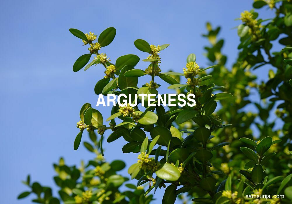 Arti Arguteness