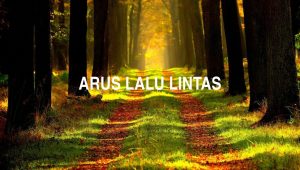 Arus Lalu Lintas
