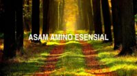 Asam Amino Esensial