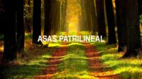Asas Patrilineal