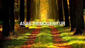Asas Primogenitur