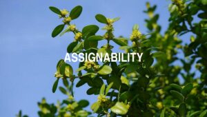 Arti Assignability