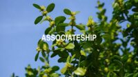 Associateship