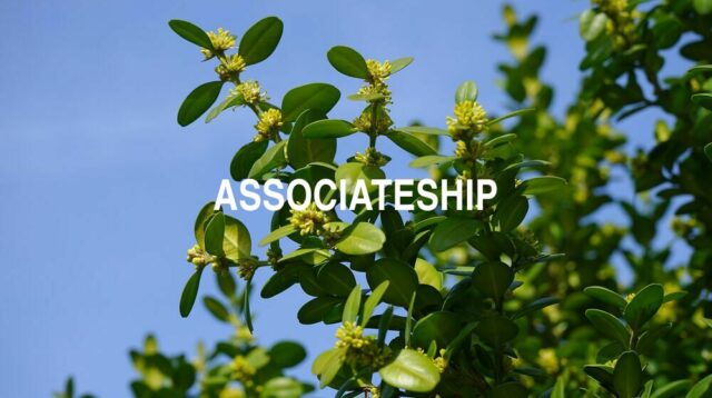 Arti Associateship