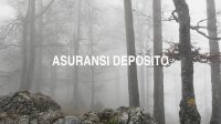 Asuransi Deposito