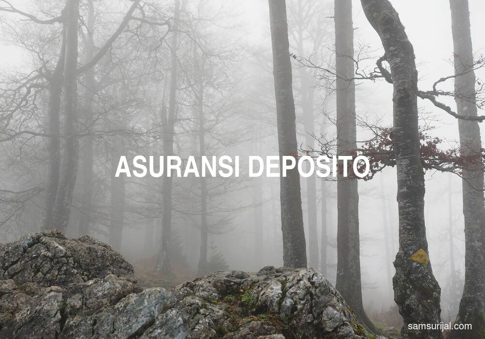 Arti Asuransi Deposito