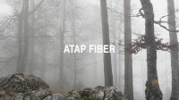 Atap Fiber