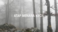 Atap Menara Kecil