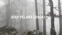 Atap Pelana Lengkung