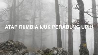 Atap Rumbia Ijuk Perabung Upih