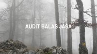 Audit Balas Jasa