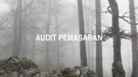 Audit Pemasaran