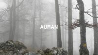 Auman