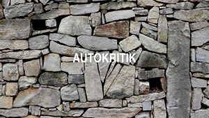 Autokritik