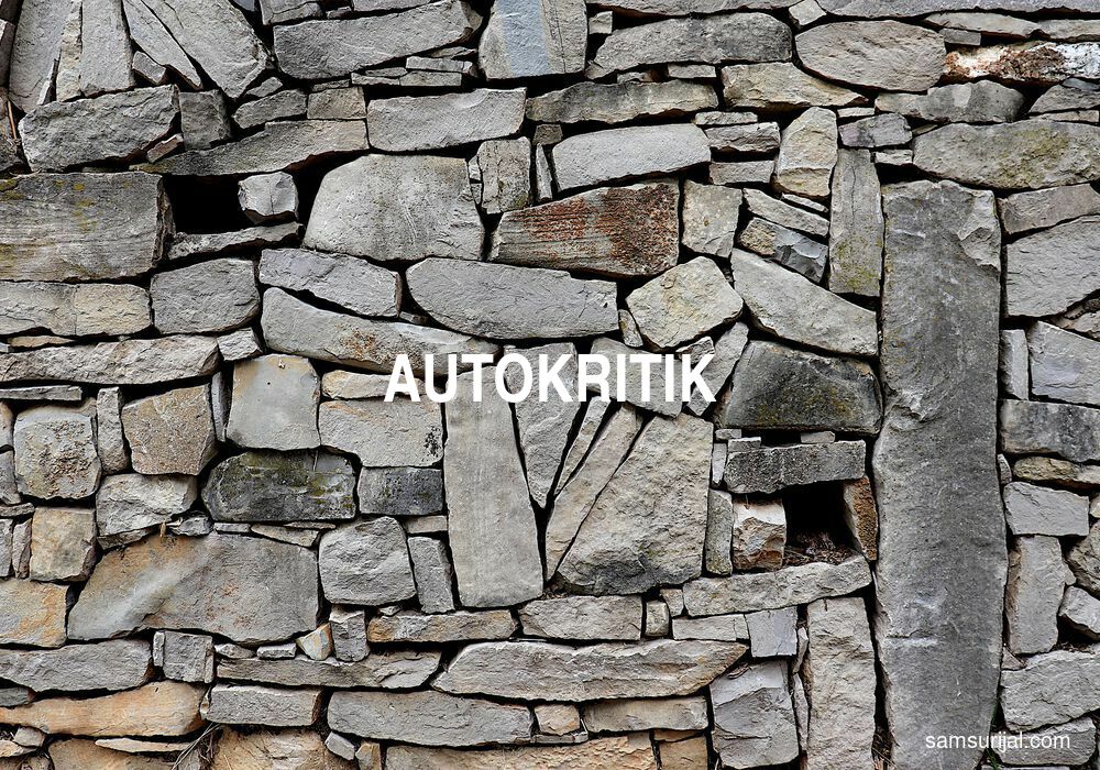 Arti Autokritik