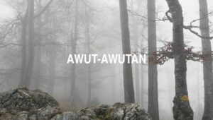 Awut-Awutan