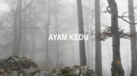 Ayam Kedu