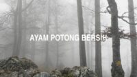 Ayam Potong Bersih