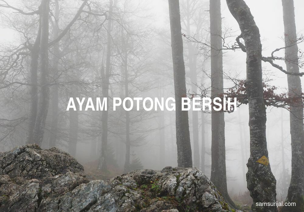 Arti Ayam Potong Bersih