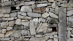 Arti Ayu