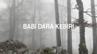 Babi Dara Kebiri