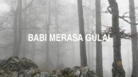 Babi Merasa Gulai