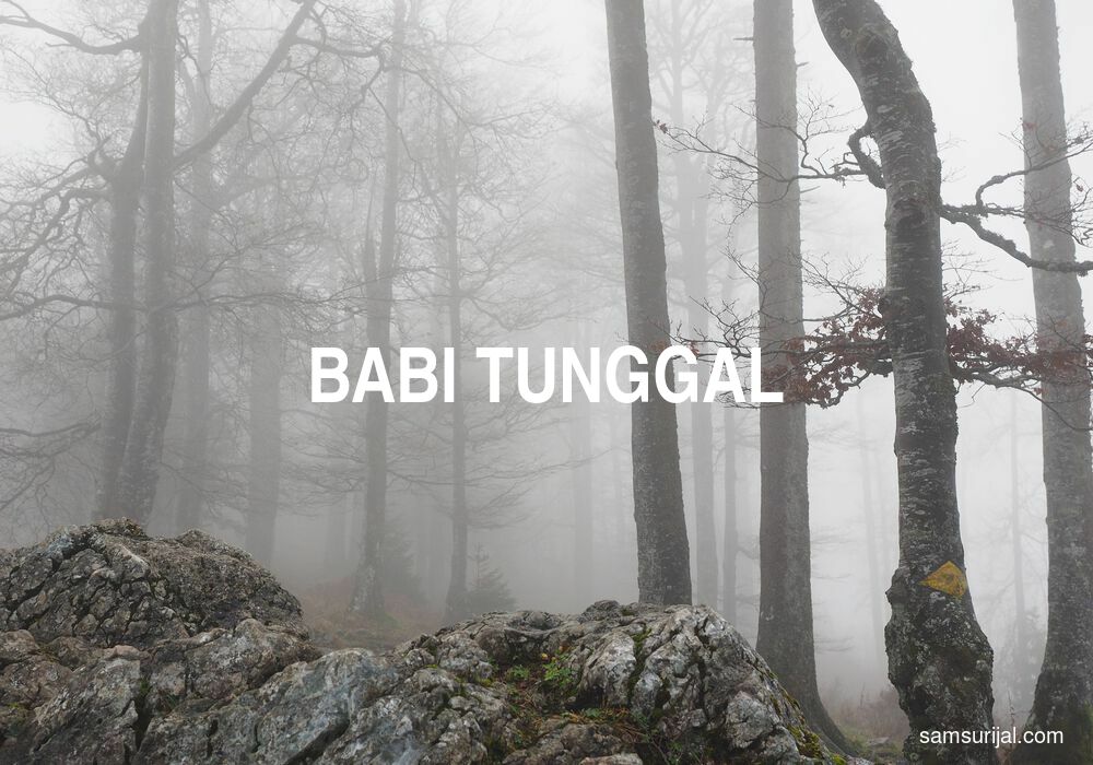 Arti Babi Tunggal