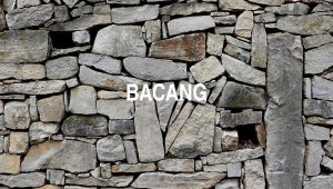 Arti Bacang
