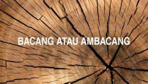 Bacang atau Ambacang
