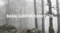 Badai Guntur Konvektif