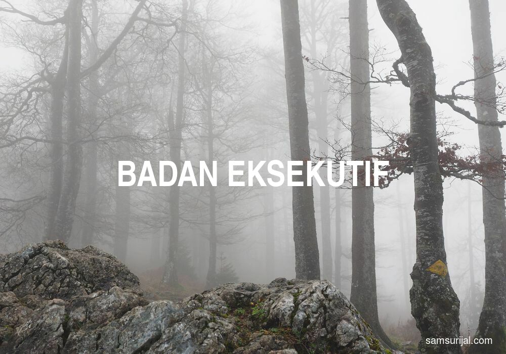 Arti Badan Eksekutif