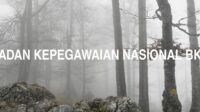 Badan Kepegawaian Nasional Bkn