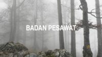 Badan Pesawat